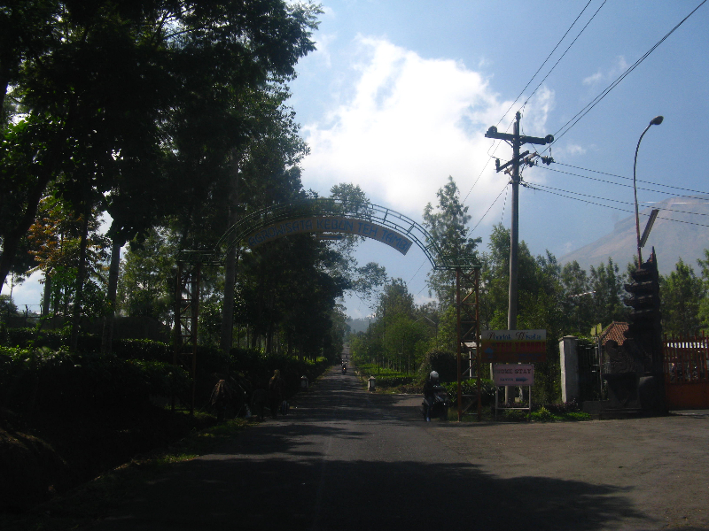 pesona_alam_dieng_gerbang_masuk_teh_tambi