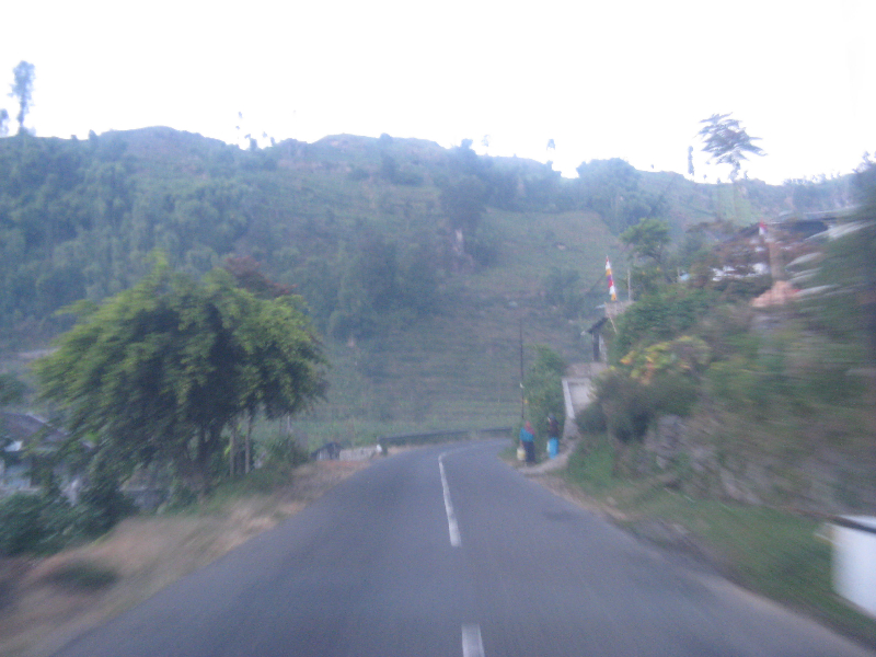 pesona_alam_dieng_jalanan