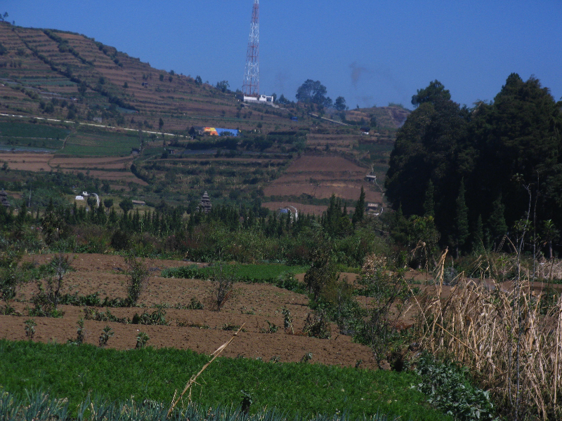 pesona_alam_dieng_kawasan_candi