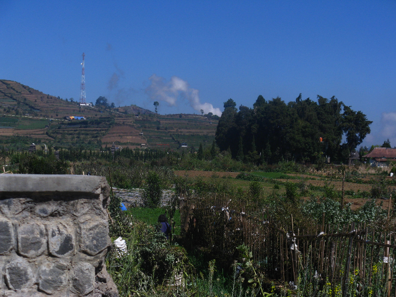 pesona_alam_dieng_kawasan_candi2