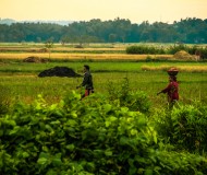 Semangat Pagi Madura