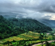 Pemandangan Alam Desa Pupuan