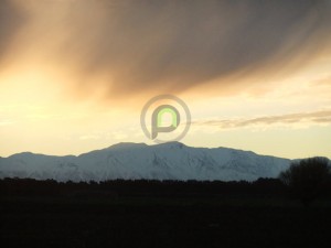10.mtcook_pesona