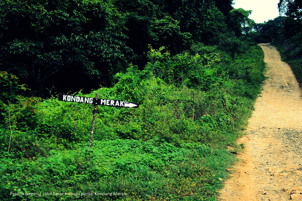 Papan penunjuk jalan menuju pantai Kondang Merak di tengah hutan